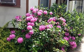 Bowers House Bnb Harvard Mit Cambridge Boston